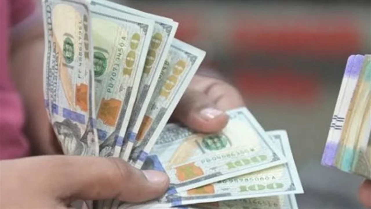 سعر الدولار في البنوك المصرية يشهد استقراراً ملحوظاً اليوم 22 يوليو